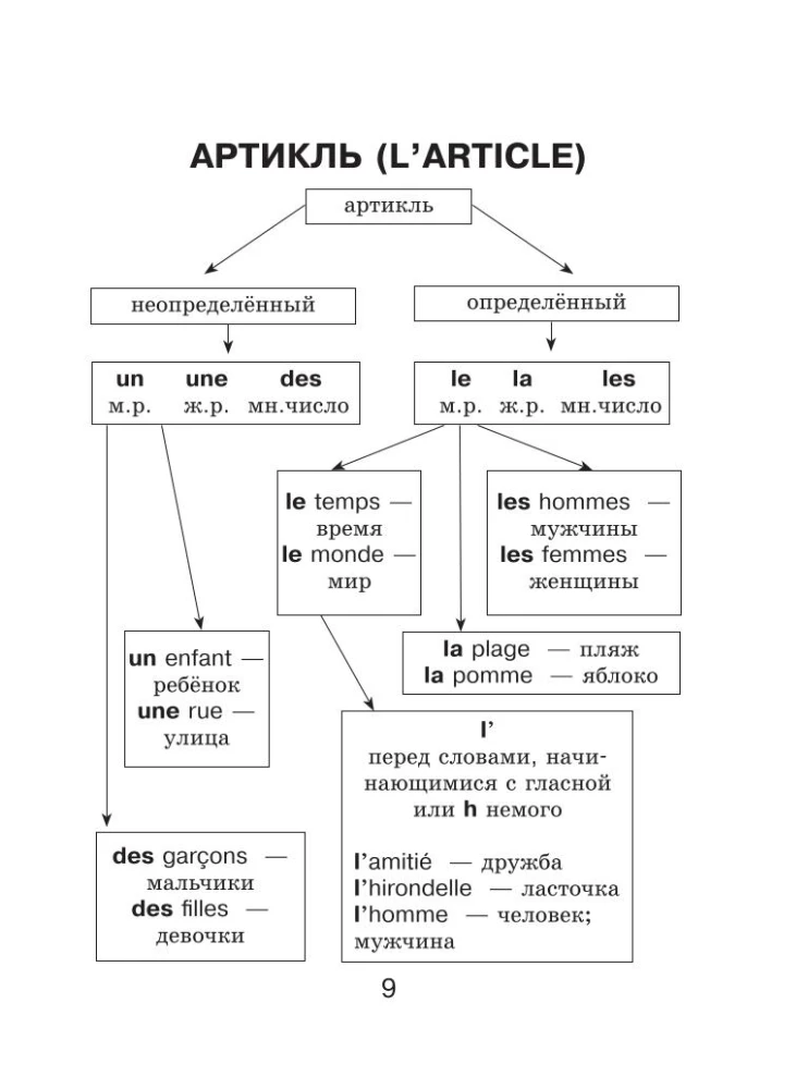 Französisch. Alle Regeln für Schüler in Diagrammen und Tabellen