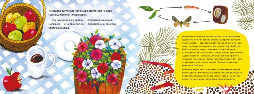 Vienas diena iš lietaus kirminėlio gyvenimo