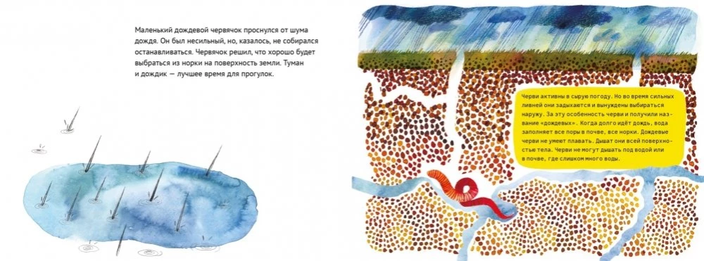 Vienas diena iš lietaus kirminėlio gyvenimo