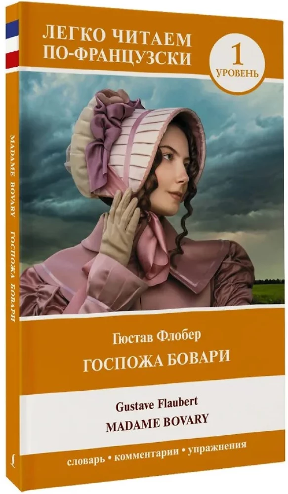 Ponios Bovari / Madame Bovary. Lygis 1