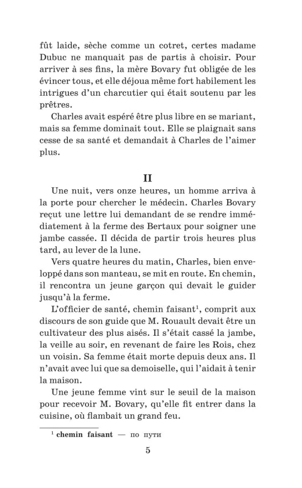 Ponios Bovari / Madame Bovary. Lygis 1