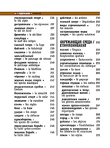 Französisch-russisches visuelles Wörterbuch
