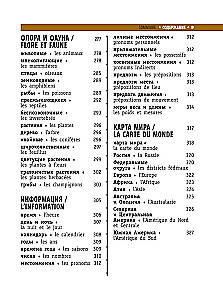 Französisch-russisches visuelles Wörterbuch