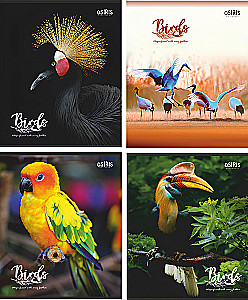 Notebook - Birds, A5, 48 sheets, lined, assorted