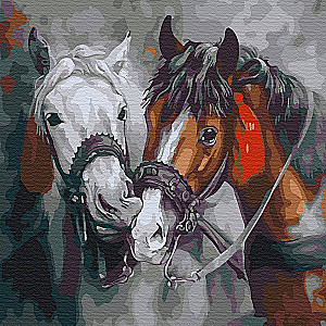 Painting by numbers - Beautiful horses, 30x30cm