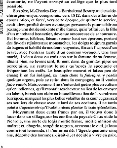 Madame Bovary / Madame Bovary