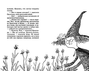 Little Wizard Ivy Newt. The Curse of the Dark Queen. Book 4