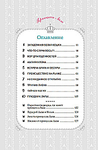 Apelsīnu kaķis