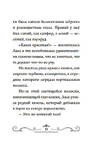 Apelsīnu kaķis