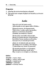 Poesie Lateinamerikas im 20. Jahrhundert. Lesebuch auf Spanisch