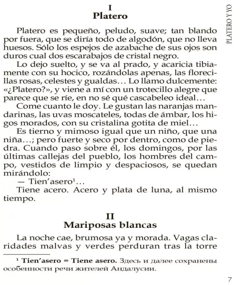 Platero ir aš