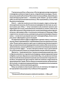 Kot koktajlowy. Przepisy napojów z kocim urokiem