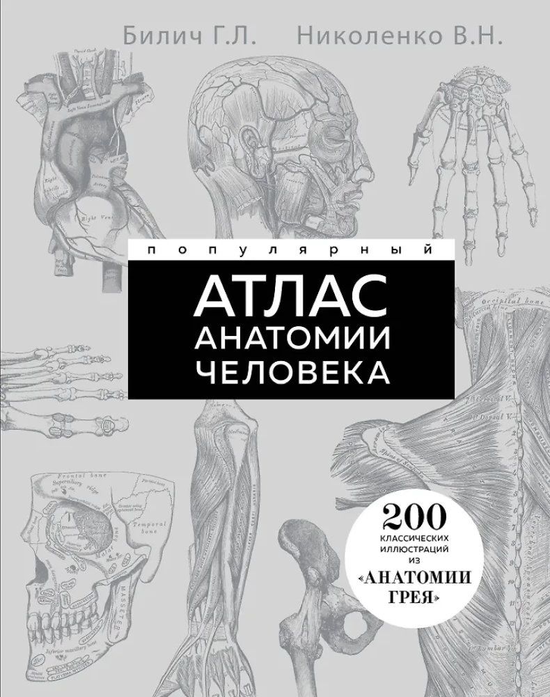 Popular Atlas of Human Anatomy. 200 Classic Illustrations from Gray's Anatomy
