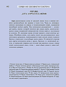 Popular Atlas of Human Anatomy. 200 Classic Illustrations from Gray's Anatomy