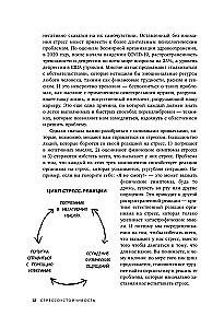 Streso atsparumas. 75 praktinių įrankių emocijoms valdyti, remiantis ACT, CBT ir DBT