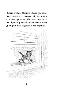 Котенок Лучик, или Тоска по дому