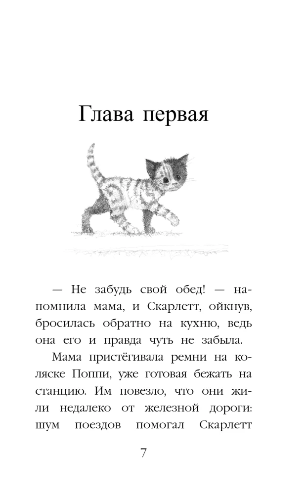 Котенок Бусинка, или Друг с железной дороги