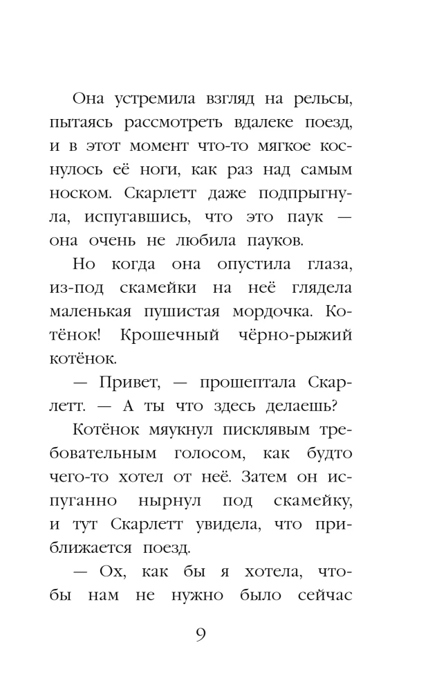 Котенок Бусинка, или Друг с железной дороги