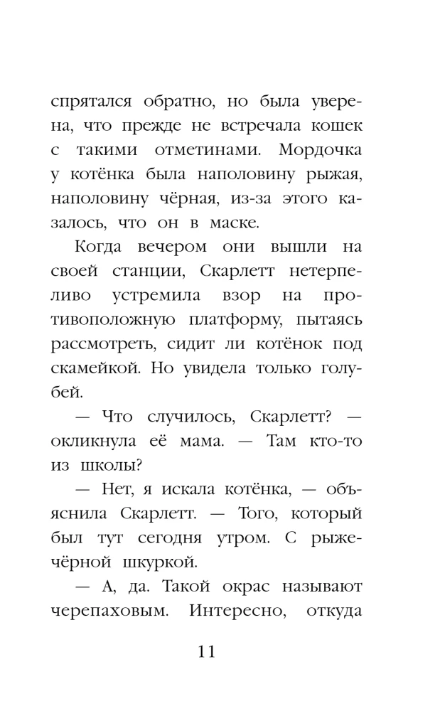 Котенок Бусинка, или Друг с железной дороги