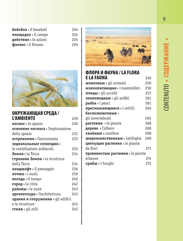 Itaalia-Vene visuaalne sõnaraamat transkriptsiooniga