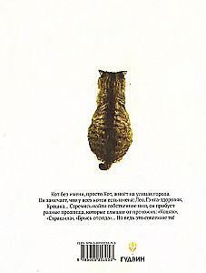 Katė be vardo