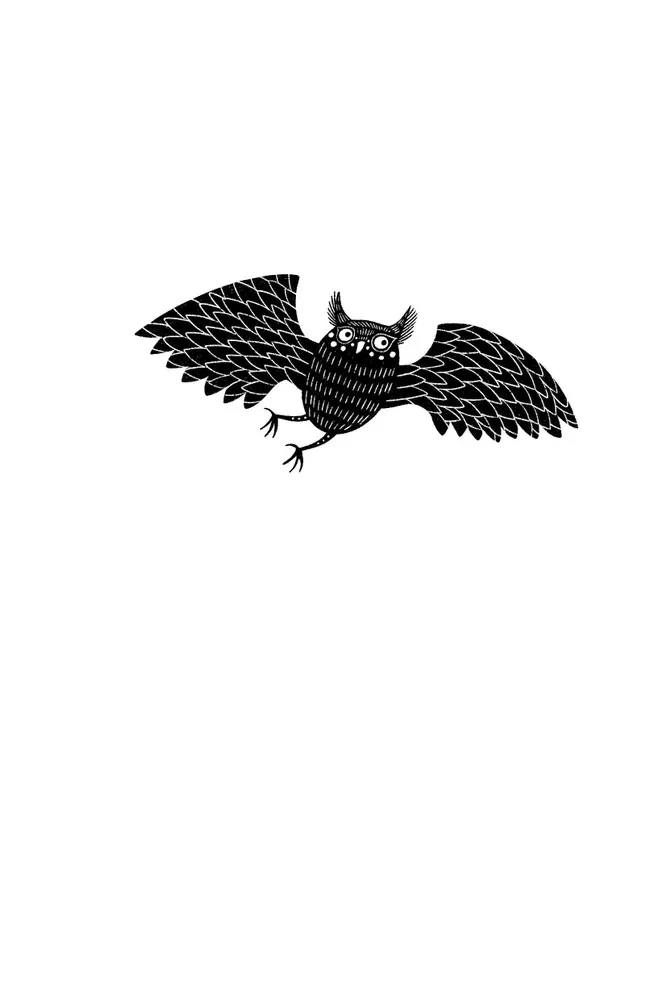 Magic Mail. The Mail Opens at Midnight. Book 1