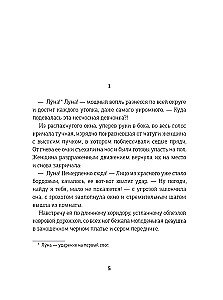Hronikas Dragomira. Grāmata 1. Aiz mirdzuma