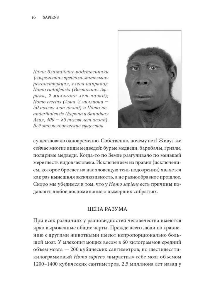 Sapiens. Krótka historia ludzkości