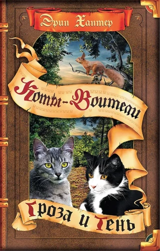 Burza i cień