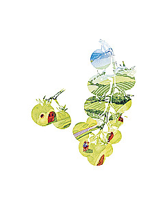Rezepte aus Mittelerde. Kochbuch aus der Welt Tolkiens