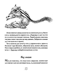 I Walk Through the Taiga