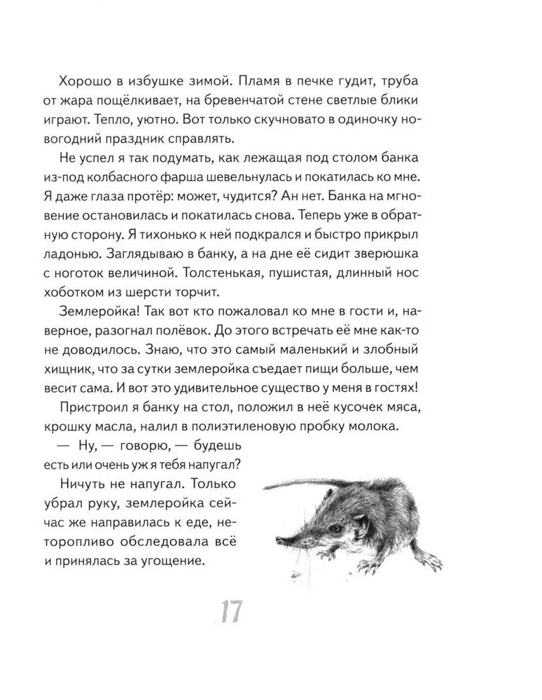 I Walk Through the Taiga
