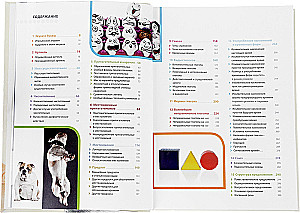 Itāļu valoda. Ilustrētā gramatika