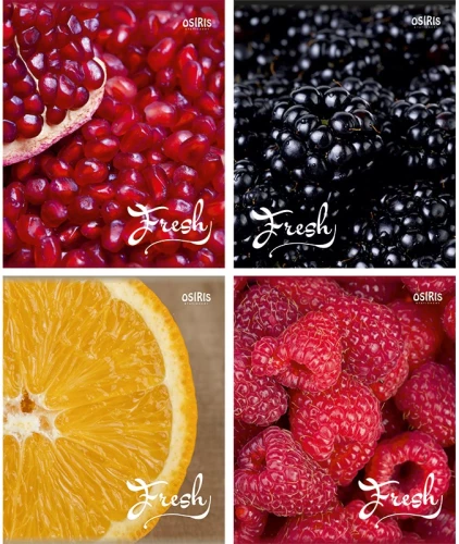 Notebook - Fresh, A5, 96 sheets, grid, assorted