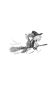 Die kleine Hexe Ivy Newt. Gefährlicher Geburtstag. Buch 1