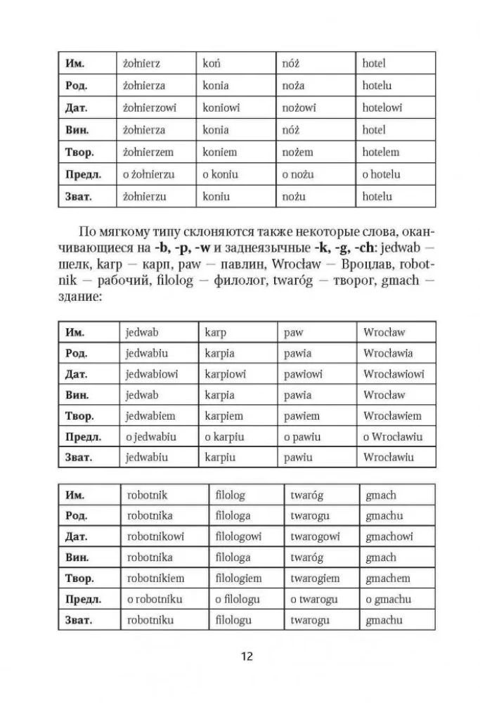 Polnische Grammatik in Tabellen und Diagrammen