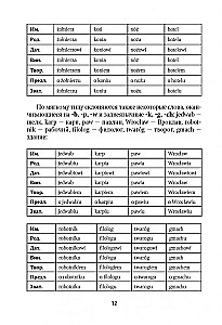Polnische Grammatik in Tabellen und Diagrammen