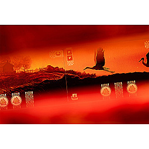 Настольная игра - Кнорр