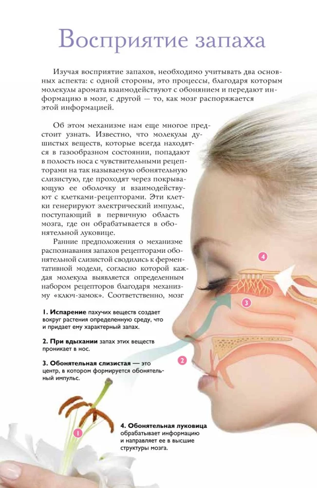 Perfumes. Basics of Perfumery. A Popular Illustrated Guide