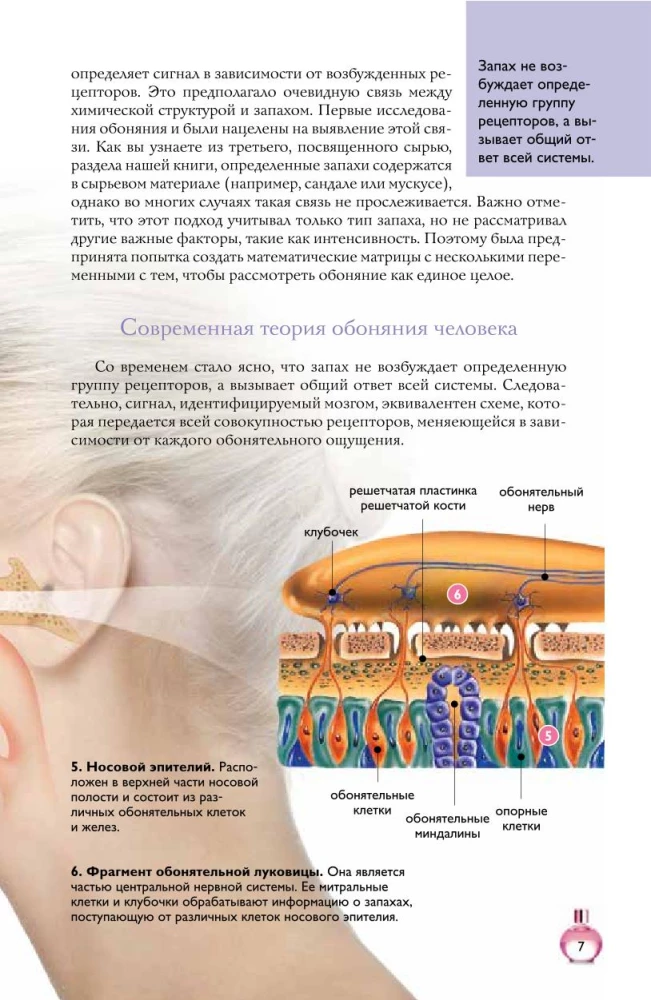 Perfumes. Basics of Perfumery. A Popular Illustrated Guide