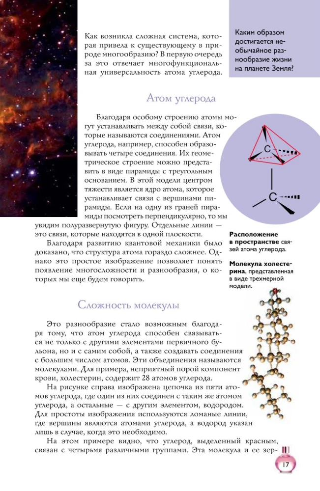 Perfumes. Basics of Perfumery. A Popular Illustrated Guide