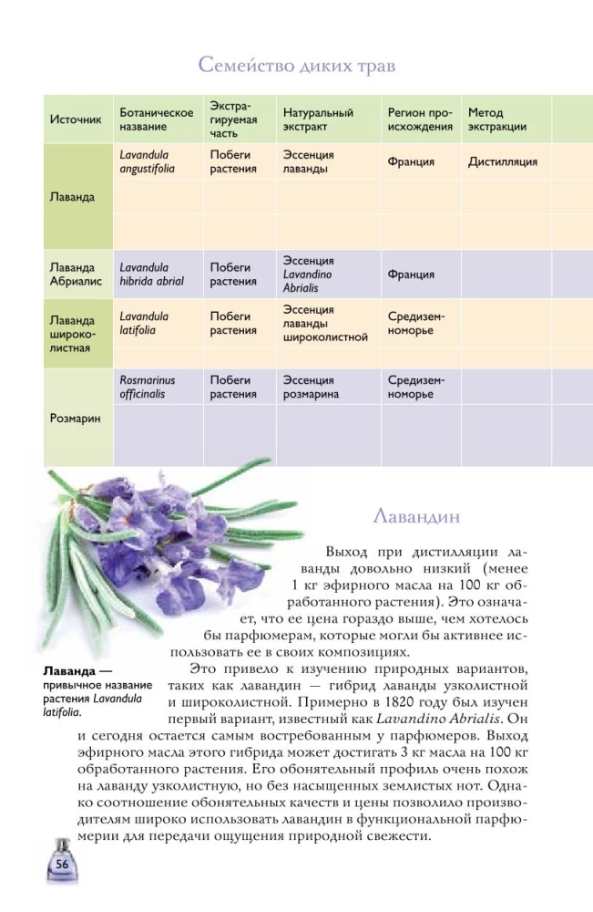 Perfumes. Basics of Perfumery. A Popular Illustrated Guide