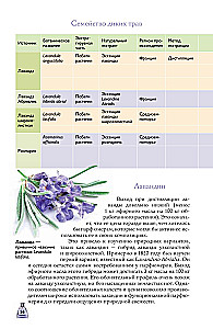 Perfumes. Basics of Perfumery. A Popular Illustrated Guide