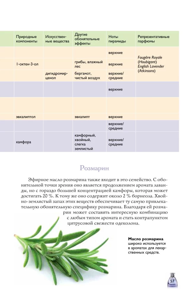 Perfumes. Basics of Perfumery. A Popular Illustrated Guide