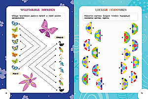 Entwicklung der interhemisphärischen Interaktion