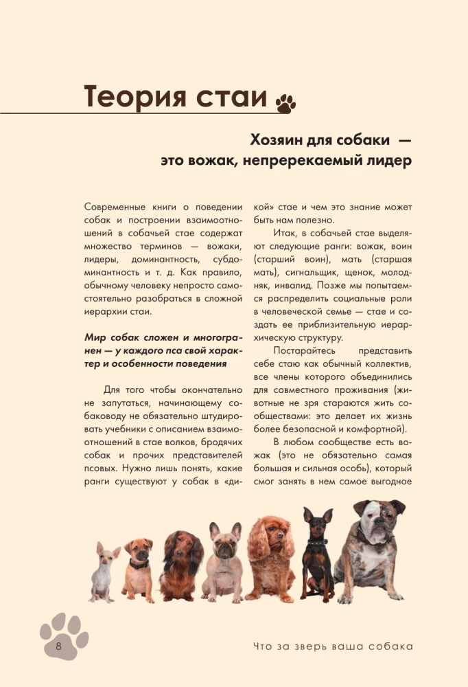 Koeratreening ja kasvatamine