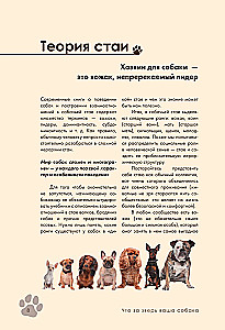 Koeratreening ja kasvatamine