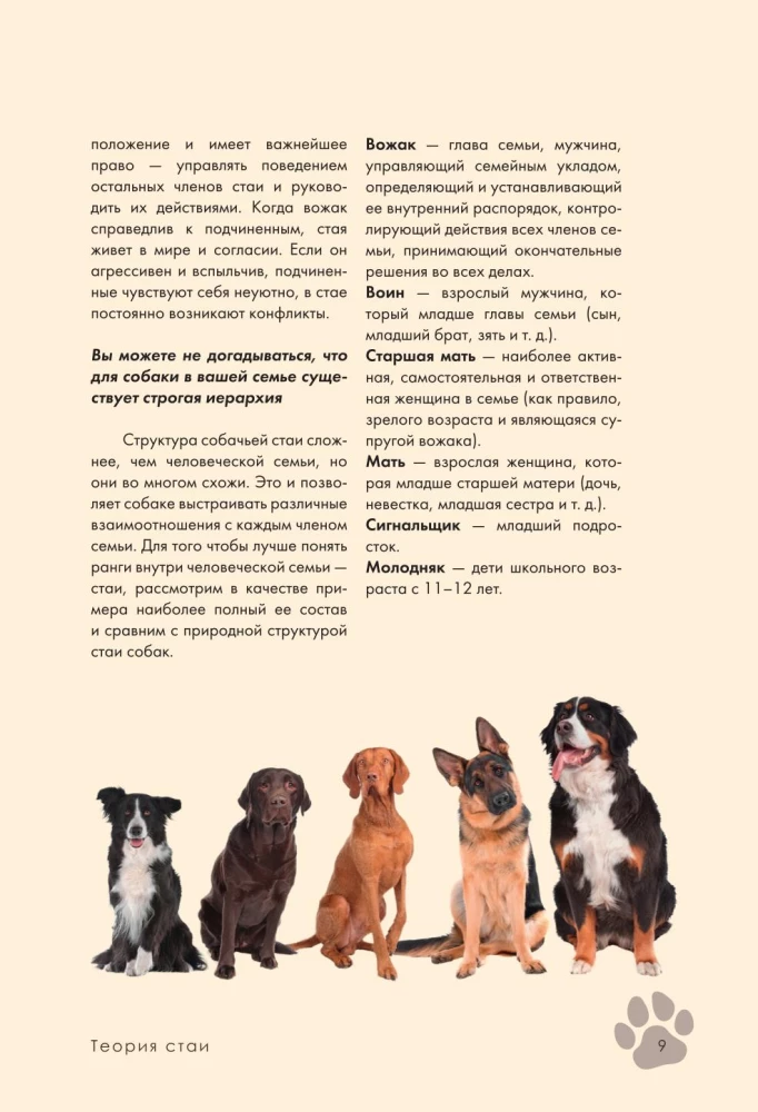 Koeratreening ja kasvatamine