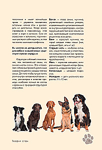 Koeratreening ja kasvatamine