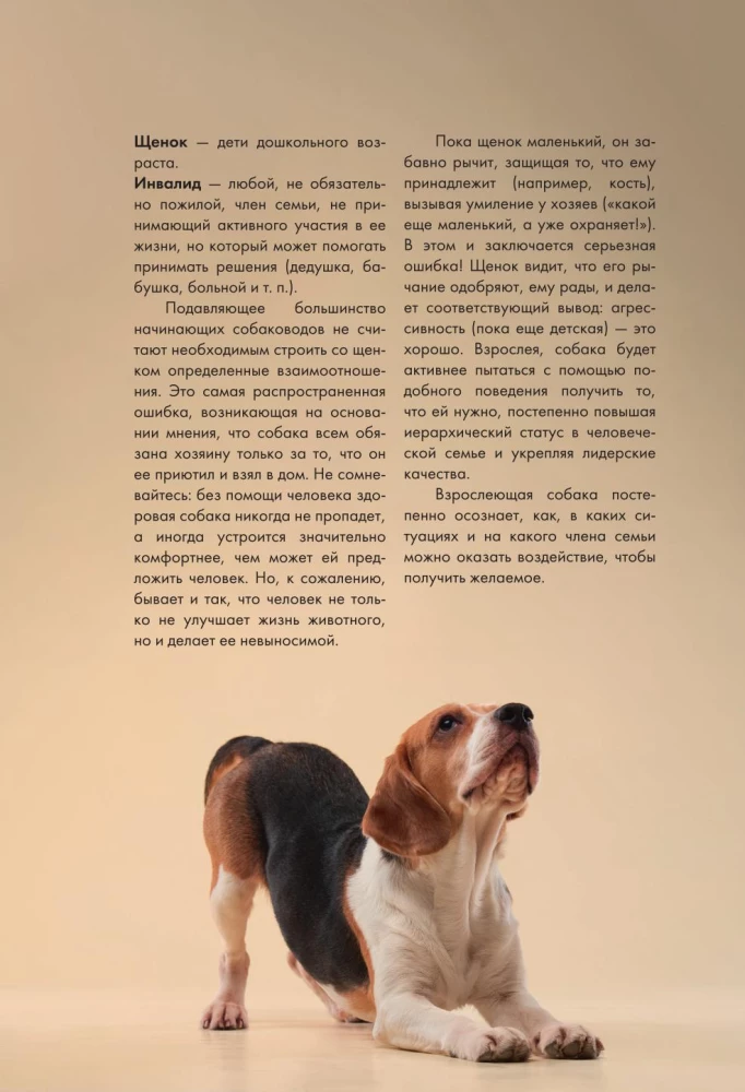 Koeratreening ja kasvatamine